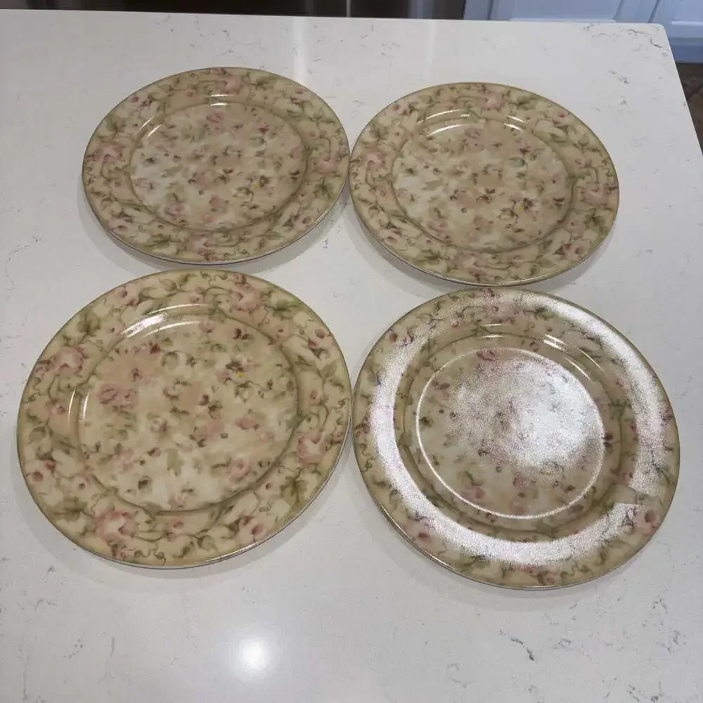 222 Fifth Savannah by Cheri Blum Stoneware Salad Plates Set of 4